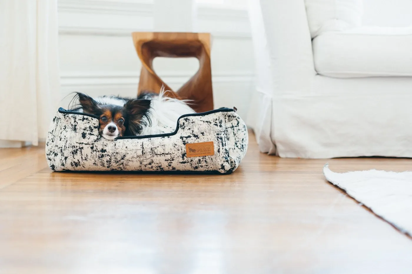 Celestial Night Sky Black Lounge Dog Bed by P.L.A.Y
