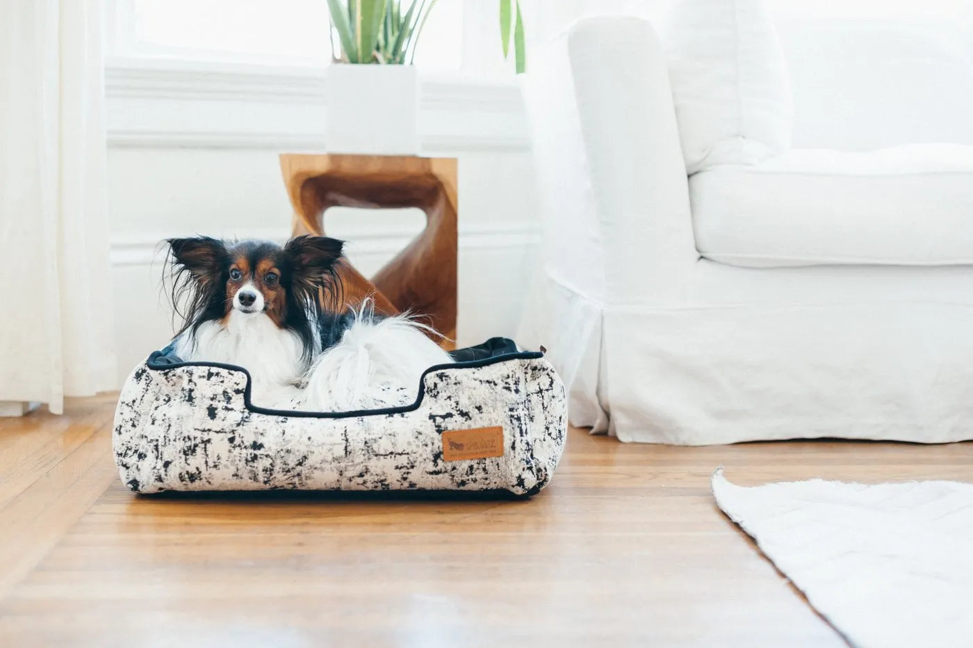 Celestial Night Sky Black Lounge Dog Bed by P.L.A.Y