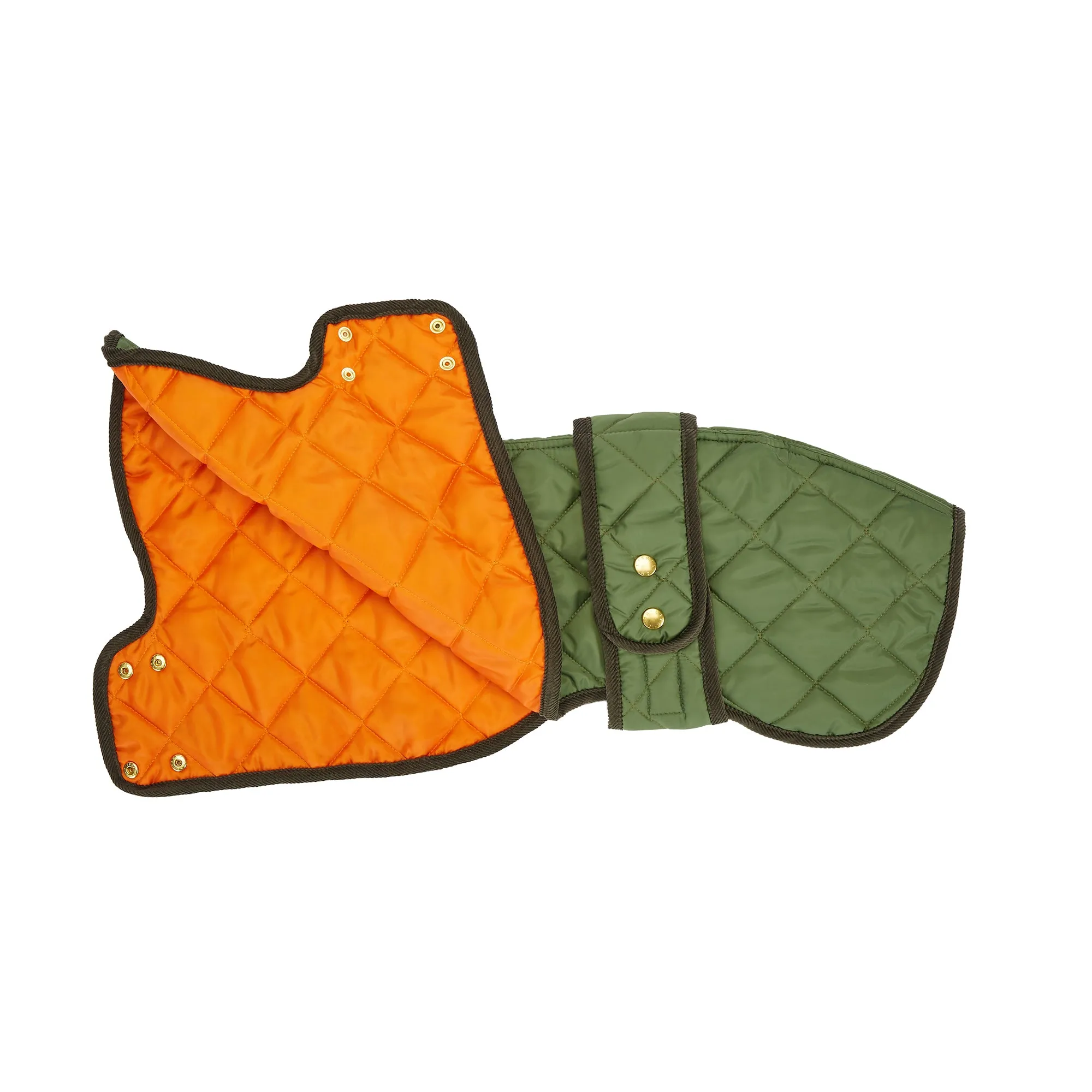 Elwin Khaki Green Luxury Designer Whippet Dog Coat