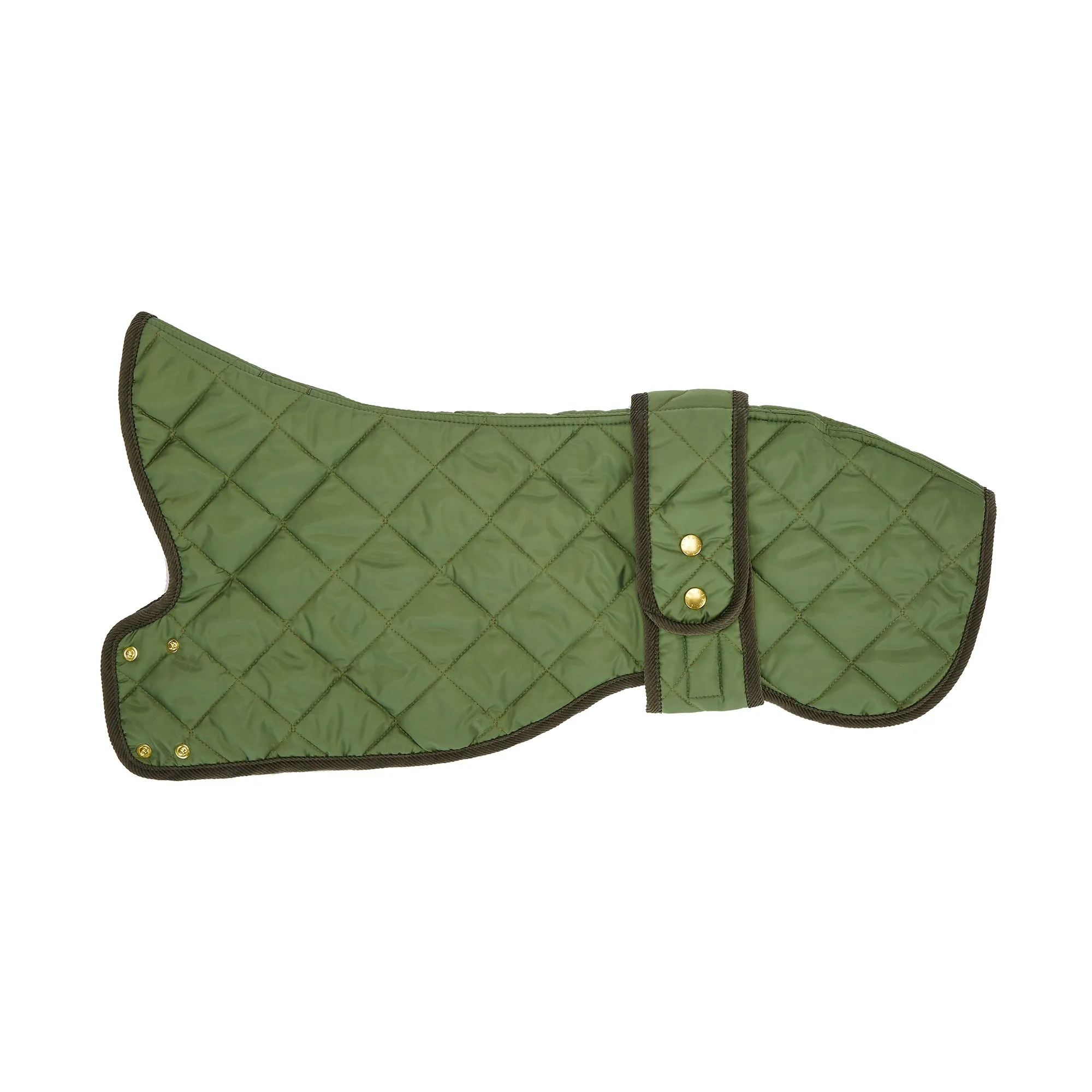 Elwin Khaki Green Luxury Designer Whippet Dog Coat