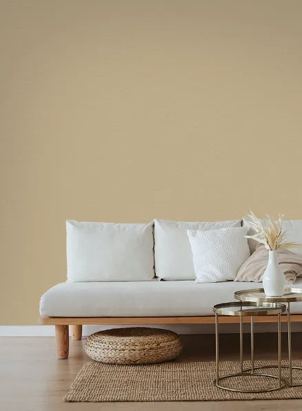 Farrow & Ball Biscuit No. 38 - Archive Collection