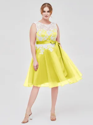 Illusion Neck Organza with Ivory Lace Appliqued Lemon Plus Size