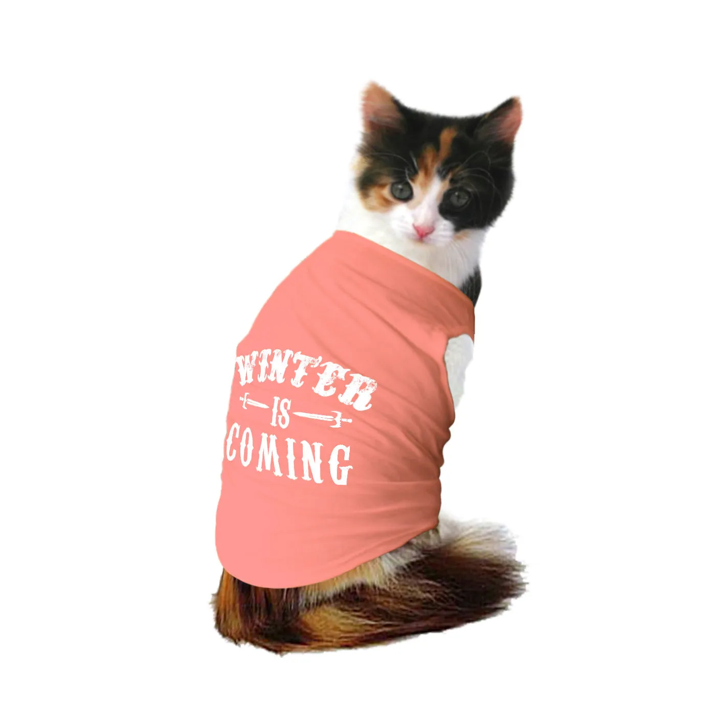 "Winter is Coming" Cat Tee