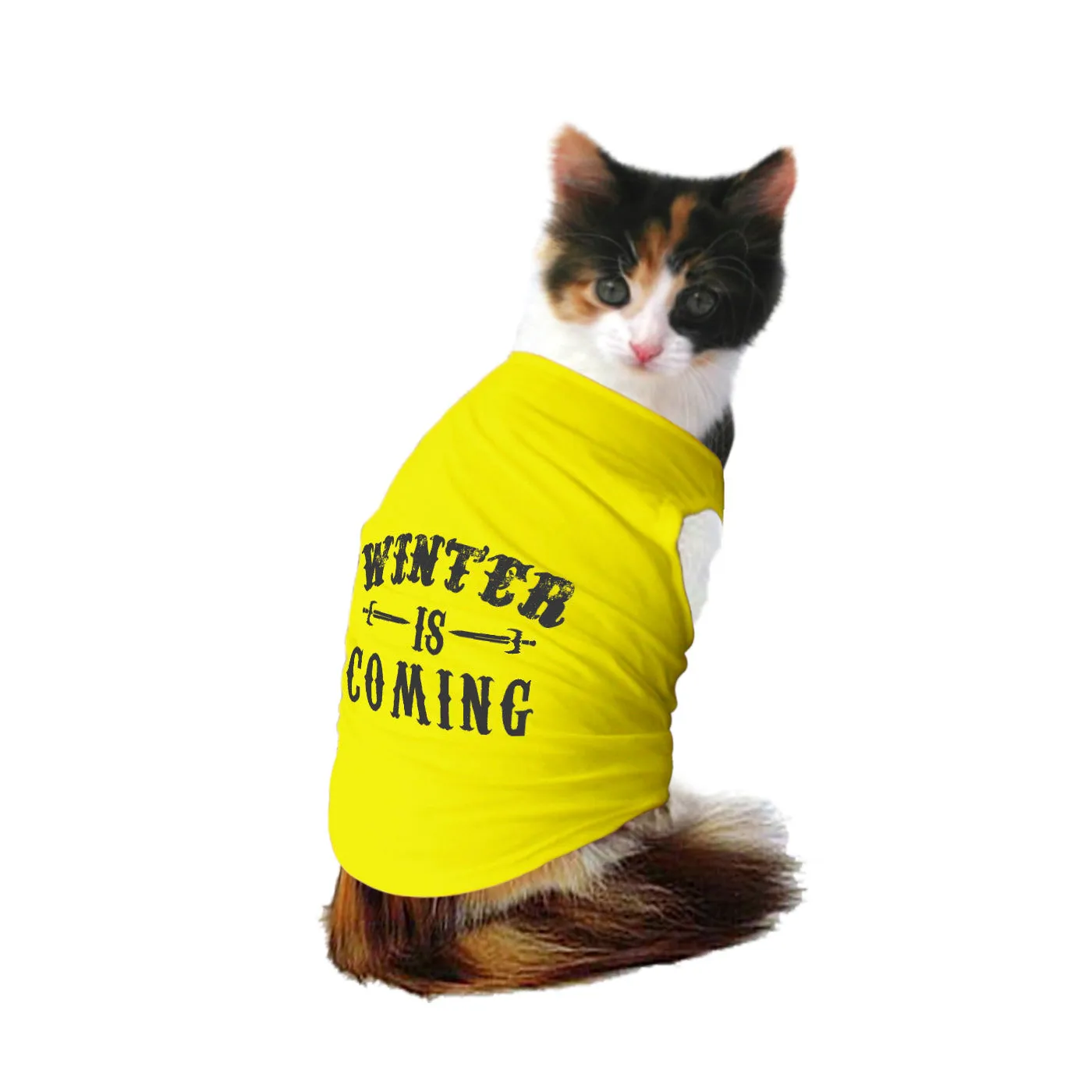 "Winter is Coming" Cat Tee