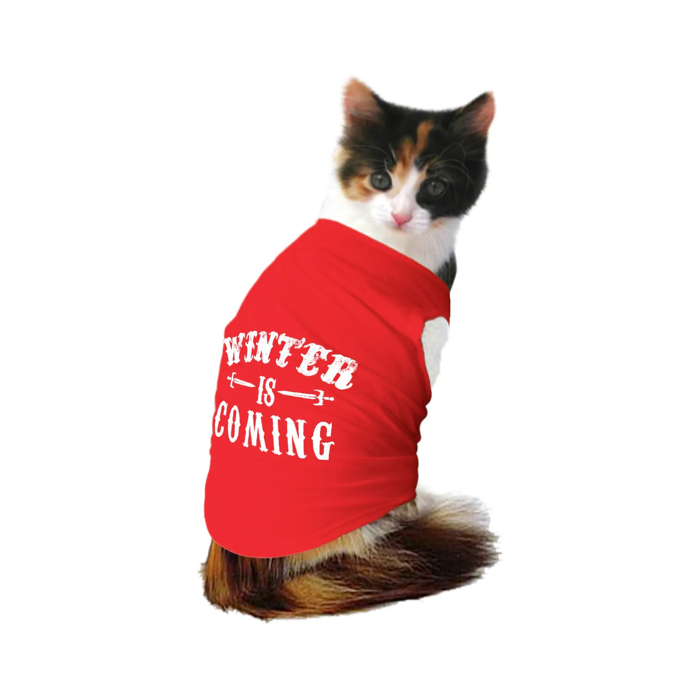 "Winter is Coming" Cat Tee