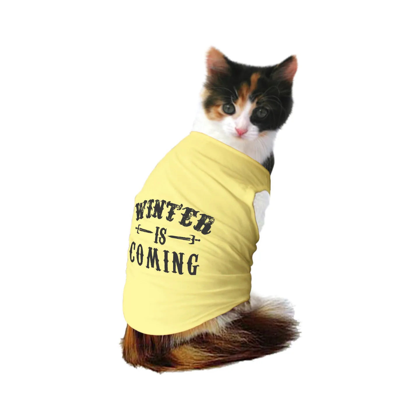 "Winter is Coming" Cat Tee