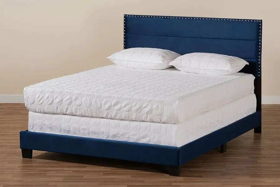 Yolanda Navy Blue Velvet Fabric Upholstered Panel Bed (Full)